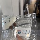 2025 올리브영 페스타 수요일 오후타임 노들섬 솔직후기