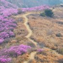 망우재로 이미지