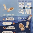 느랭이골 자연휴양림 일반야영장 | 서천 희리산해송자연휴양림 야영장 캠핑 후기 - 재정비한 데크정보