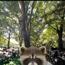 쉼터포장마차 이미지