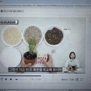 난원예사