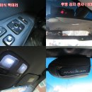 LED풀조명