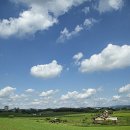 미리내 농장 이미지
