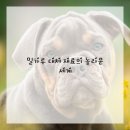 건강한 베이킹 이미지