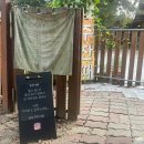 강아지와 고양이 | [경기 김포] 고양이 강아지와 놀수 있는 곳, 야행성