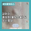 어울림동물메디컬센터 이미지