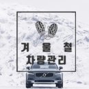 엠에스 모터스 이미지