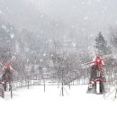 충북알프스자연휴양림 이미지