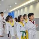 청룡태권도 이미지