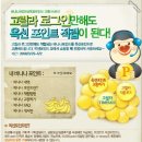 고릴라미디어 이미지