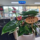 은미화원