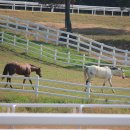 부자목장 이미지