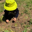 다경어린이집 이미지