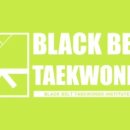 체형교정 태권도 이미지