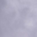 비체팰리스휴양콘도미니엄 이미지