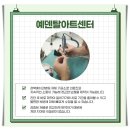 마음심는기공소 네이버블로그