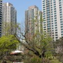 래미안퍼스티지중심상가 이미지