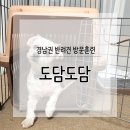 도담도담캔넬 | 임보중인 아가 짖음 입질 반려견 방문훈련 했어요!