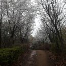 도장공원길 이미지