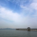 [포내마을]바다낚시 티스토리