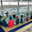 짐나지움 리틀 & 스위머스 탄 이미지