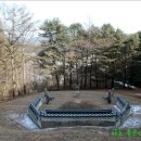 흥은위 정재화묘 이미지