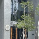 lacasa(라까사) 이미지