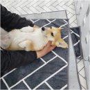 양산유치원 이미지