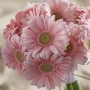 달산농장 이미지