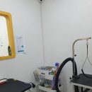 댕구르 | 방배동 애견미용 댕구르 포메 곰돌이컷 미용후기