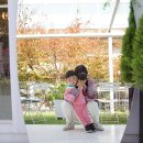 샌드비(SandB) 이미지