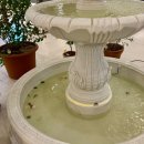 루트커피 이미지