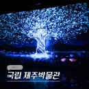 일주동로 | 제주 아이와 실내 가볼만한 곳 공항 근처 국립 제주 박물관 입장료 무료 후기