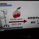 간 편한 세상을 위한 비법3. 피로를 물리쳐라.타트체리/기치유센터 이미지