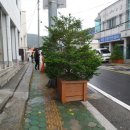 광도초등학교 이미지