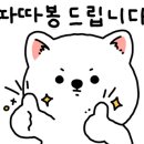 제이케이펫샵 이미지