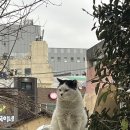 가현아구찜 이미지