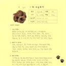 [#1195] 르미(양측 슬개골탈구 G3)의 수술후기