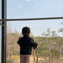 여주산림박물관 | 이른꽃놀이 : 여주 황학산수목원