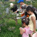 황룡농장 이미지