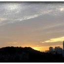 새벽노을 Daum카페