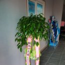 타이어프로 감천 이미지