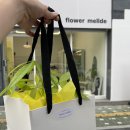 해조플라워 이미지