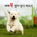 복 이미지