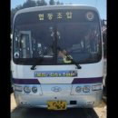 연합렌트카 | [울릉도 독도여행] 1. 울릉도 독도 대가족 패키지 여행 내돈내산 후기 시작!