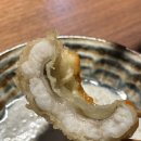 치빗코