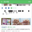 플루디 이미지