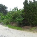 원북면사무소 이미지