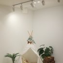시담스튜디오 이미지