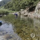 육교콩나물해장국 이미지